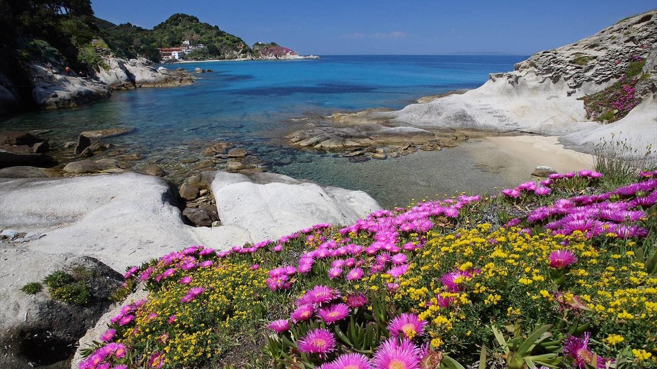 Tra aromi e profumi: all'Elba la natura si respira anche così