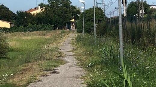 Le erbacce divorano la pista ciclabile Soldi gettati al vento