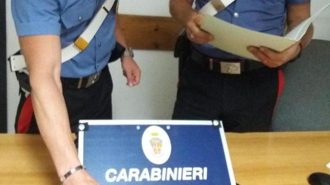 Trovati tre chili di hashish nascosti tra le piante