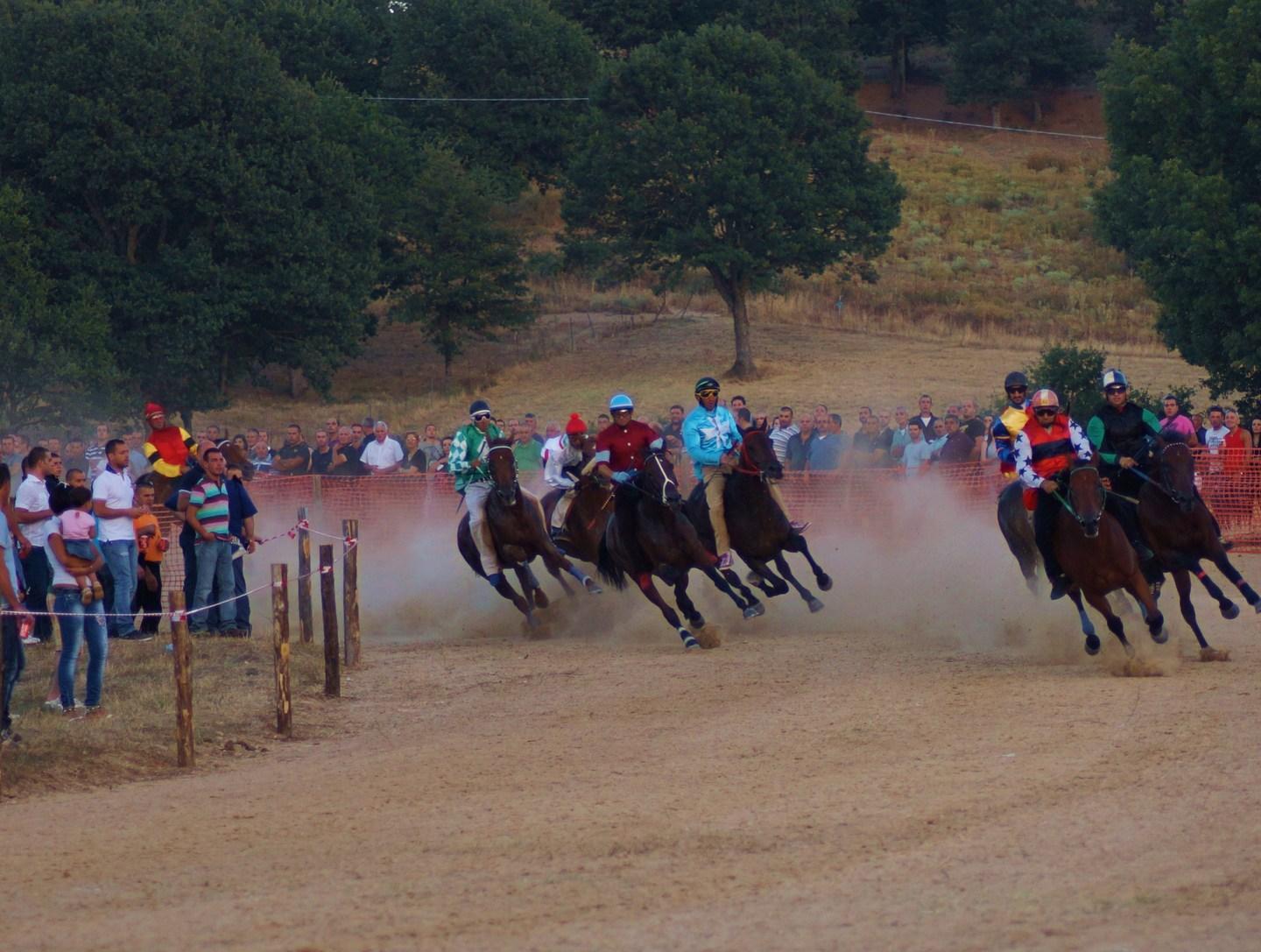 Tutti pronti per il Palio di Gavoi