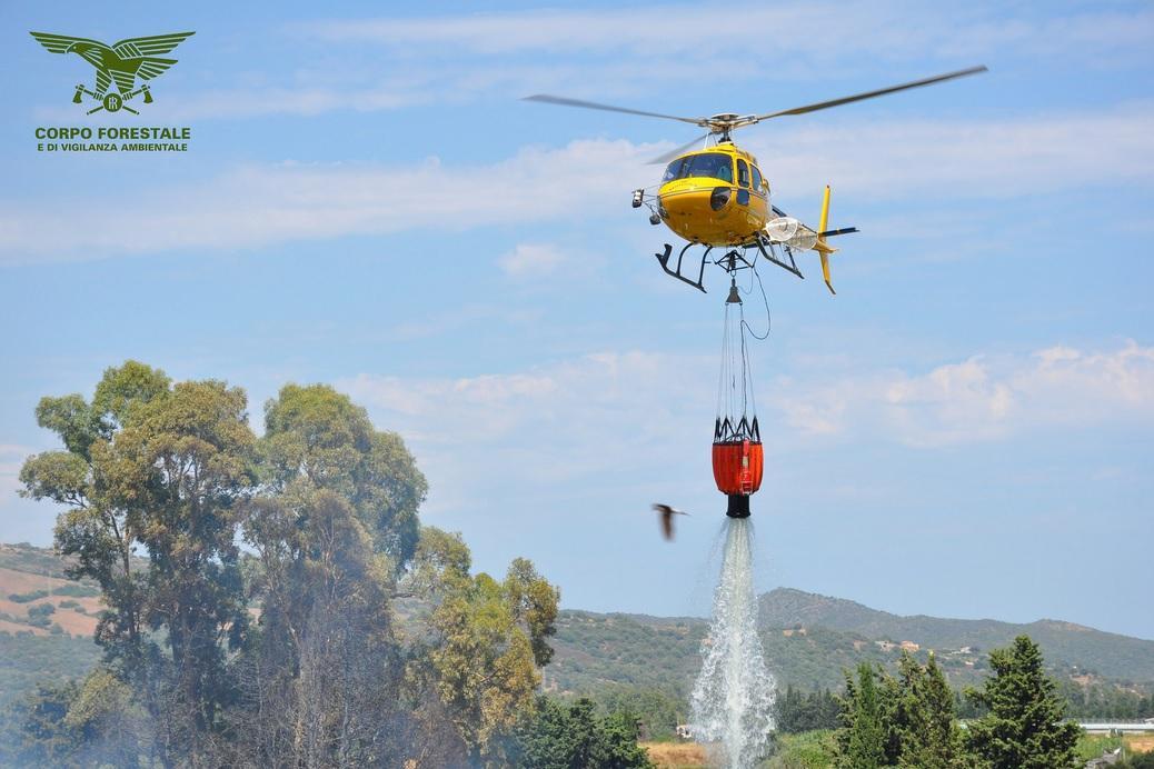 La Forestale in azione a Torpè