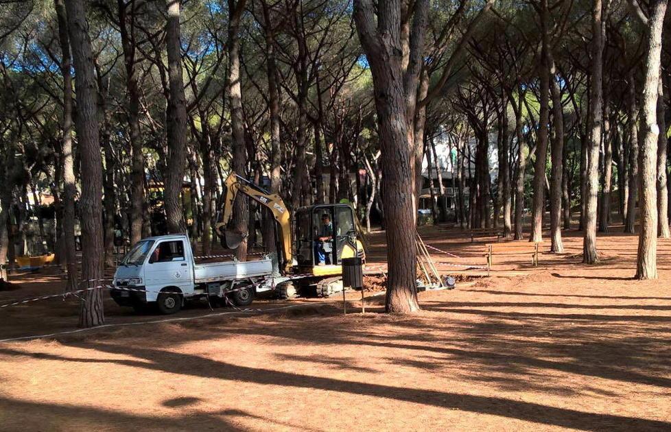Un piano da 500mila euro per risanare pineta Marradi 