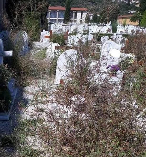 Erbacce e sudicio al cimitero I rovi invadono tombe e vialetti
