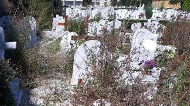 Erbacce e sudicio al cimitero I rovi invadono tombe e vialetti