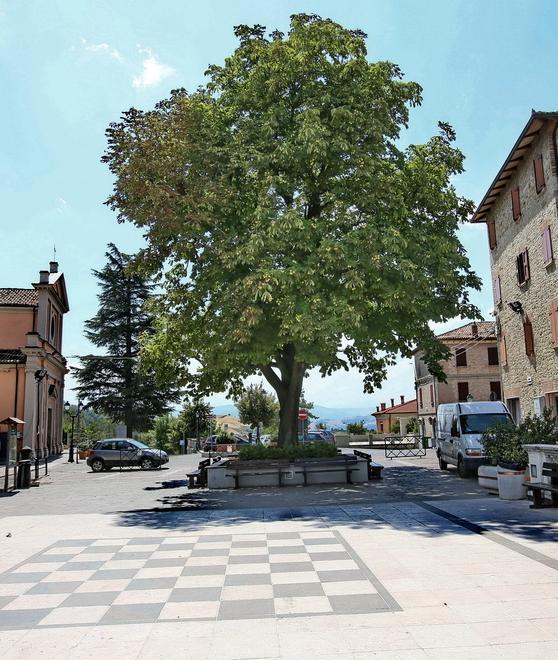 Il ritrovarsi in paese con la festa di San Luigi 