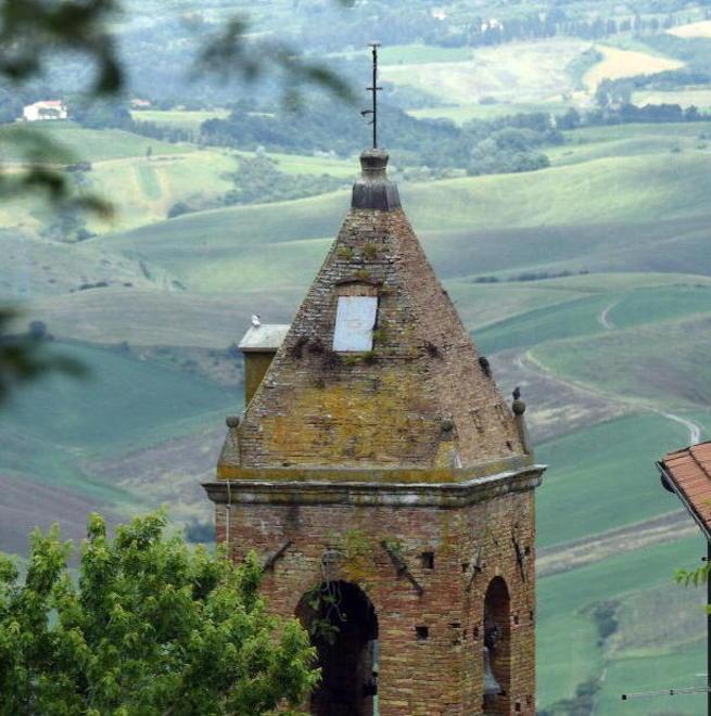 Il cinghiale con le olive diventa il re della tavola
