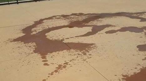 I vandali imbrattano di olio la pista di pattinaggio