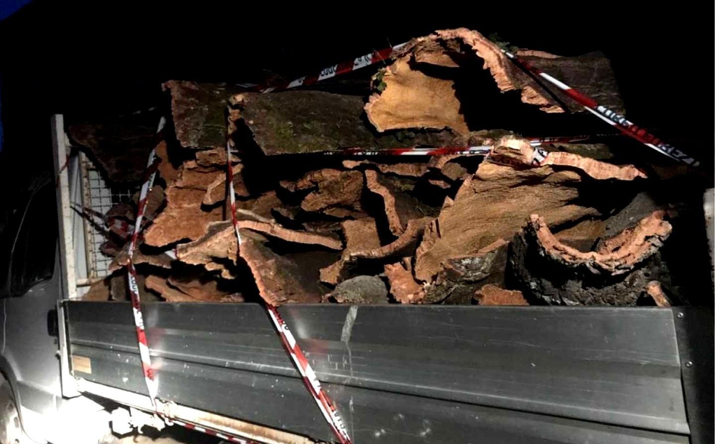 Furto notturno di sughero arrestati tre buddusoini 
