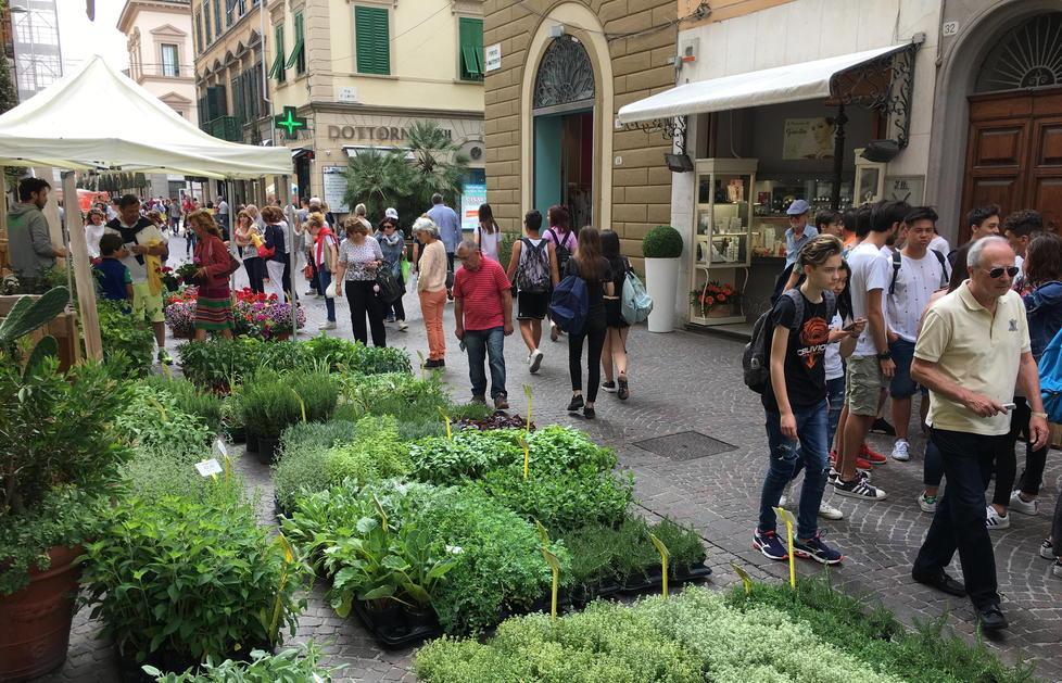 Poche richieste al Comune per aprire negozi in centro 