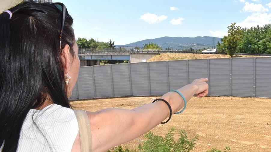 Una residente indica la barriera antirumore (foto Gori)