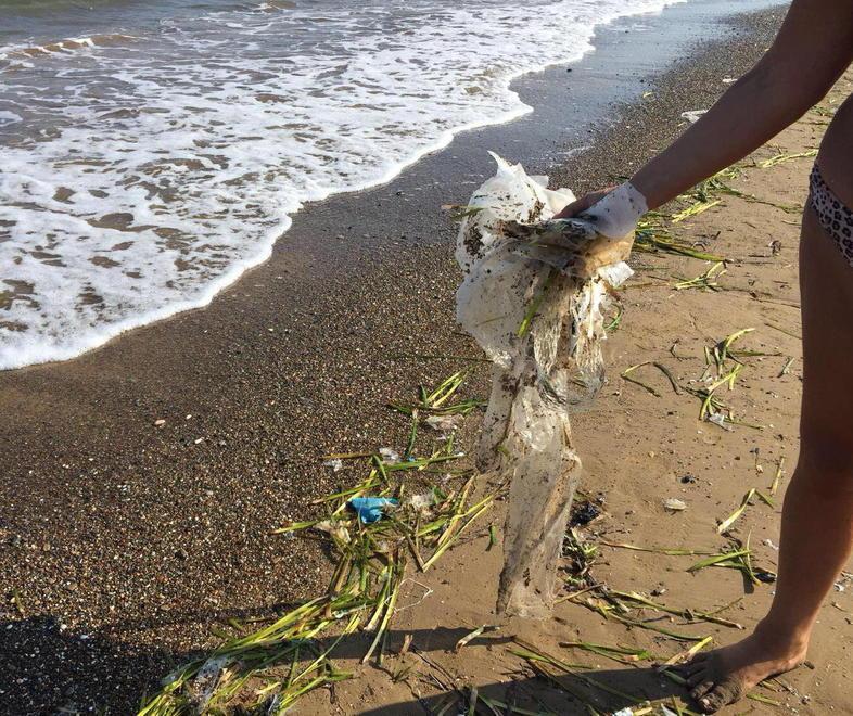La plastica invade Baratti Bagnanti netturbini per un giorno