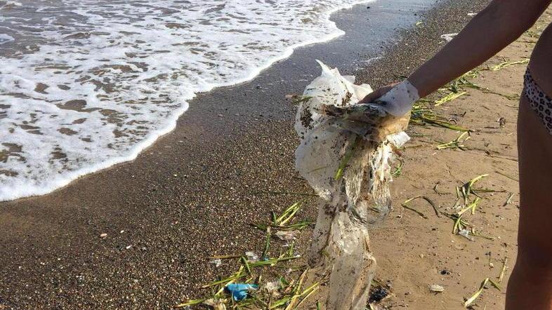 La plastica invade Baratti Bagnanti netturbini per un giorno