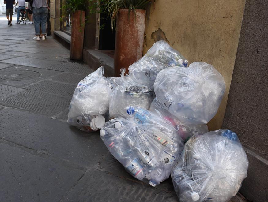«Inutile la raccolta all’alba Bisogna rivedere gli orari» 
