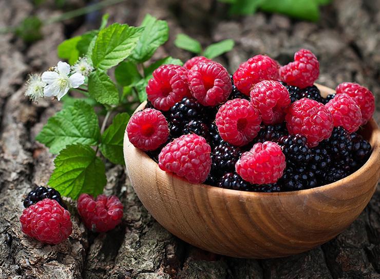 In due piazze il mercatino con i i frutti della montagna