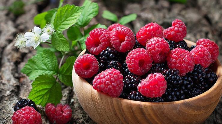 In due piazze il mercatino con i i frutti della montagna