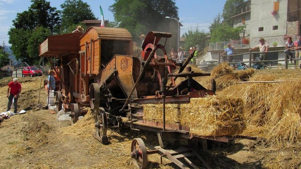 L’antico fascino della trebbiatura
