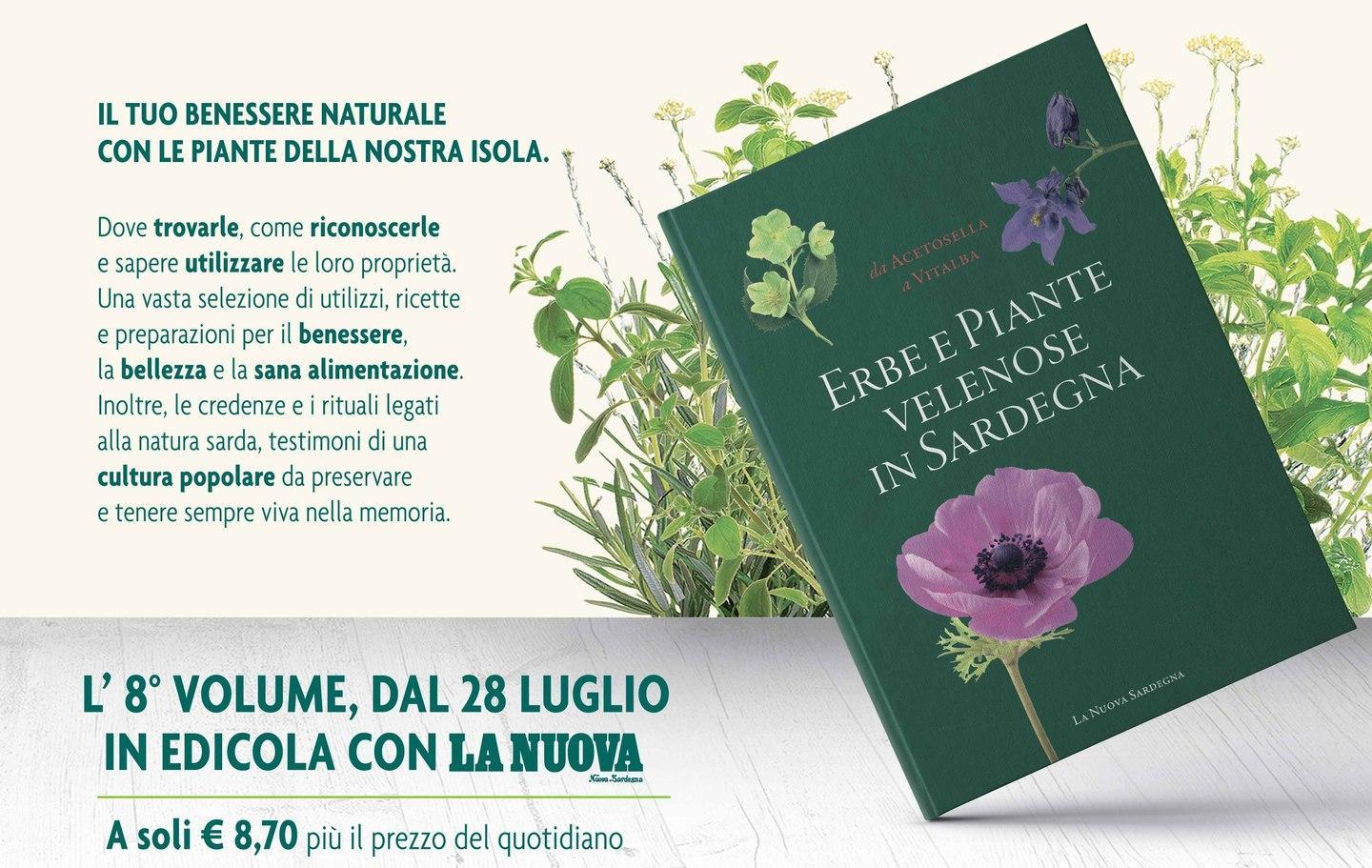 In edicola le Erbe della Sardegna 