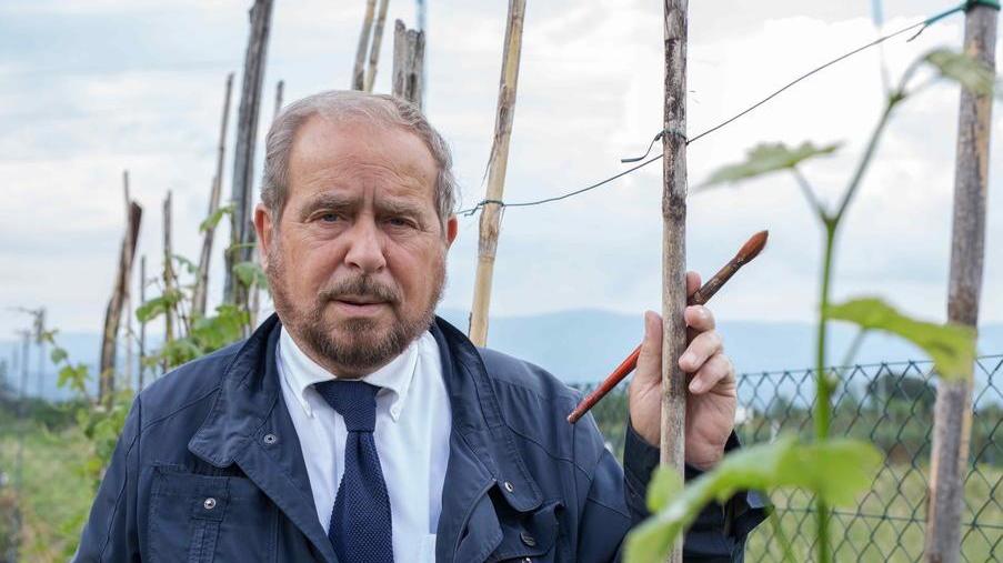 Nelle Sale affrescate le stagioni della memoria di Alessandro Ciantelli