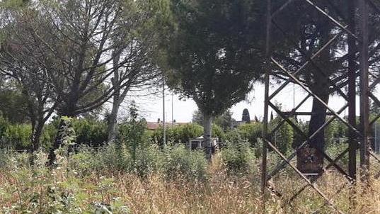 Il Comune chiede l’intervento di Arpat