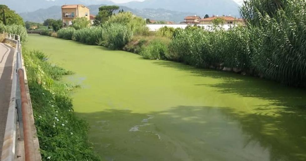 Una giornata col Parco per pulire la spiaggia