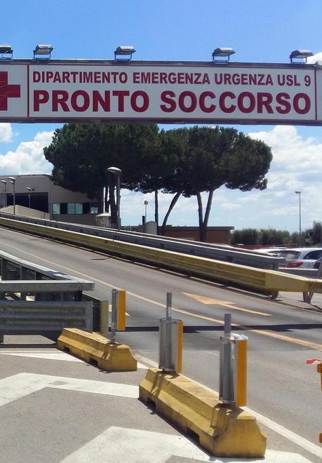 Punto da un calabrone e soccorso dal 118 Paura per un anziano 