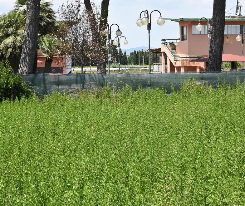 Erba alta e topi, il Casalone è nel degrado Carniti: «Se finisce all’asta, lo compro io» 