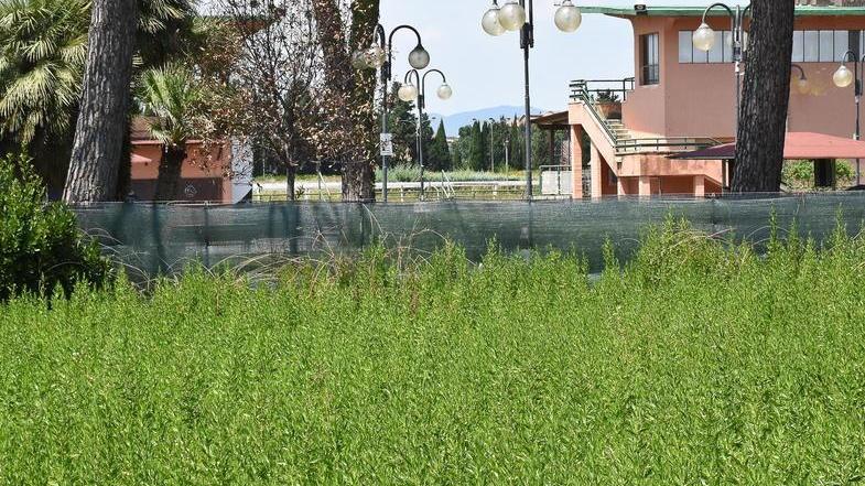 Erba alta e topi, il Casalone è nel degrado Carniti: «Se finisce all’asta, lo compro io»