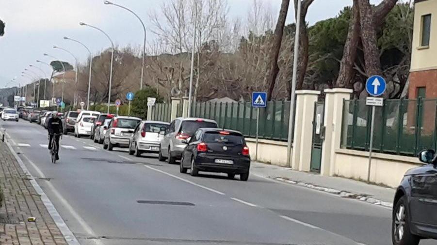 Guidi su via delle Pinete «Un bando del Coni per fare la ciclabile»