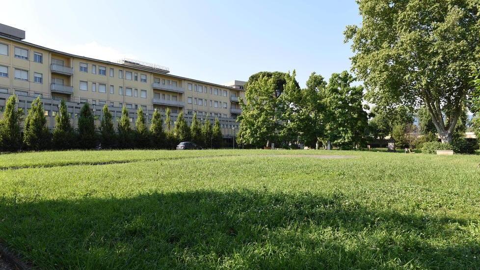 I prof di Carrara e Civitali-Paladini vanno allo scontro con la Provincia