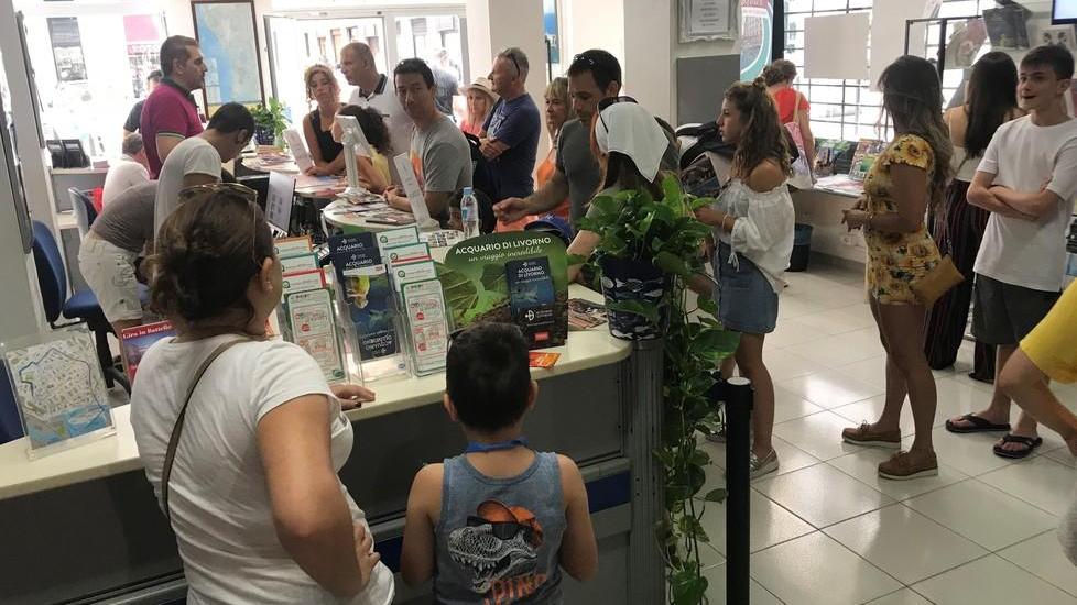 «Vorrei andare a piedi a Firenze a Ponte Vecchio»