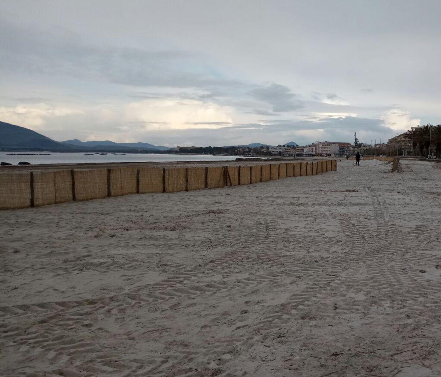 Wwf: «Piante pioniere, non erbacce» 