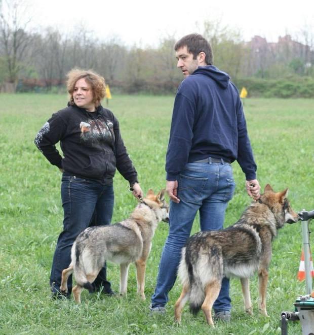 In sette con i cani: «Rifiutati dal bagno perché eravamo troppi» 