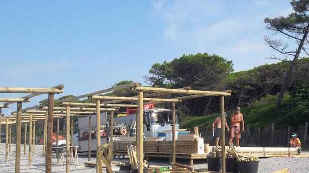 Spiaggia per cani alle Gorette nuovi servizi al mare per Fido