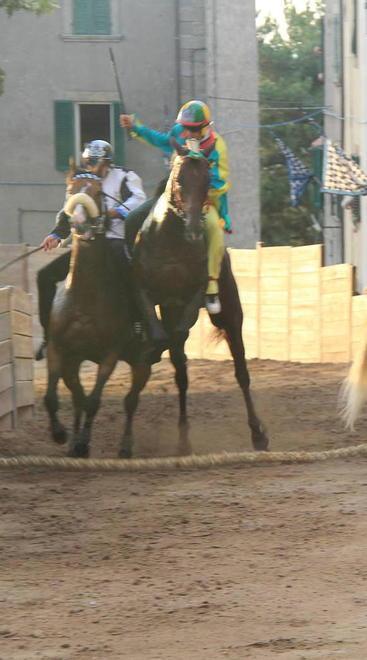 Palio, nuove regole: la “mossa” entro 30 minuti 