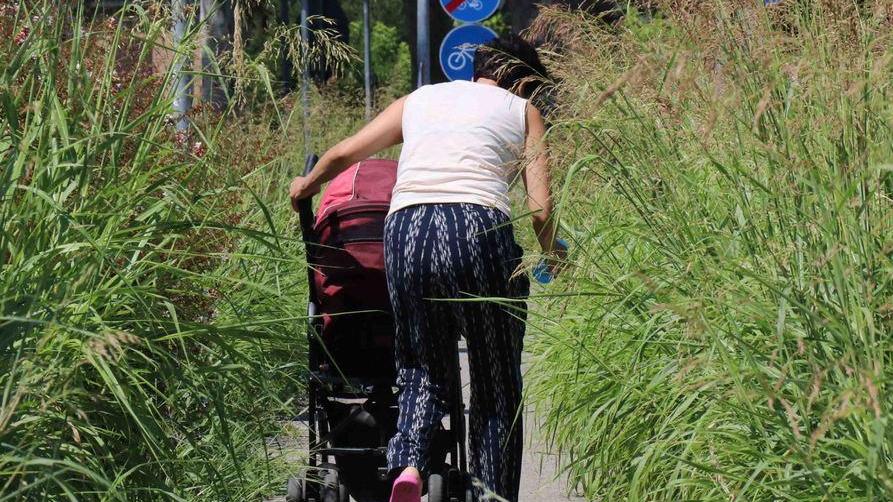 Una ciclabile stile “giungla” Che erbacce per chi passa