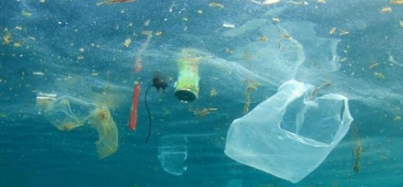 «Basta con la plastica nei nostri mari» 