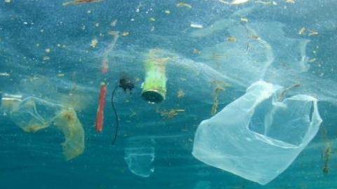 «Basta con la plastica nei nostri mari» 