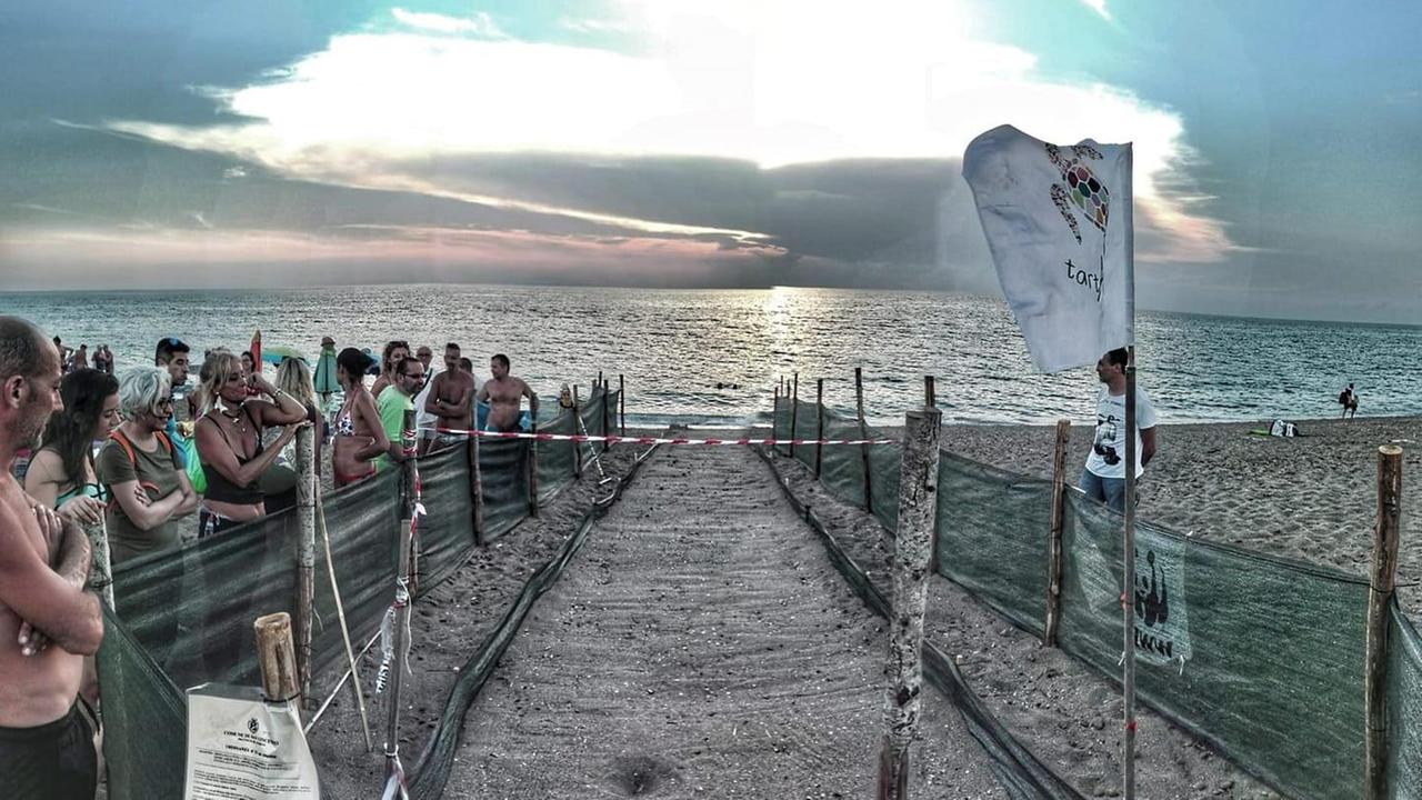 Sempre gran pubblico lungo il corridoio protetto lasciato per i piccoli di tartaruga dal luogo di deposizione delle uova fino al mare