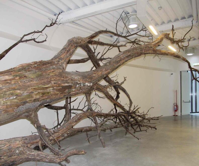 L’arte del Pecci va in vacanza Museo chiuso per 23 giorni 