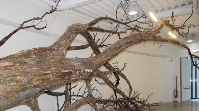 L’arte del Pecci va in vacanza Museo chiuso per 23 giorni