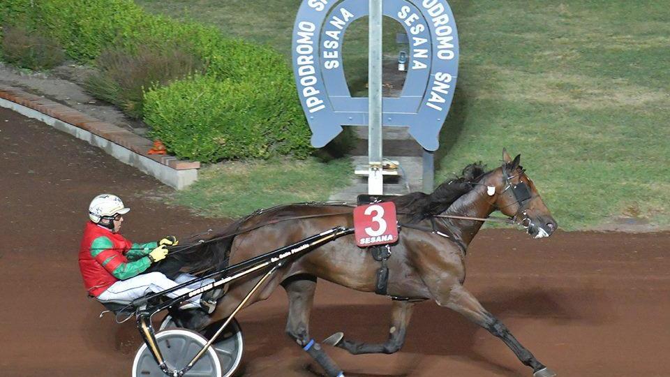 Upright Bi ritratto mentre taglia il traguardo con Roberto Andreghetti alla guida (Foto Rosellini)