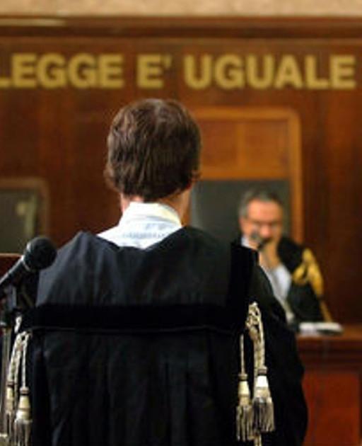 Modena, cane azzanna ragazza al viso: condannato il proprietario 