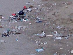 Rifiuti in spiaggia (Foto Russo)
