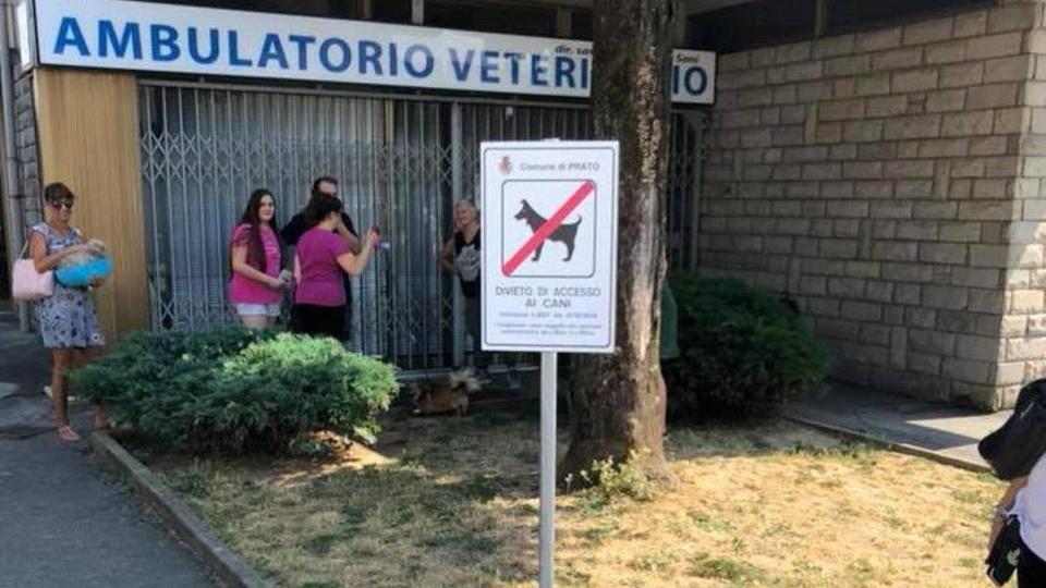 La veterinaria con l’aiuola off limits per i cani