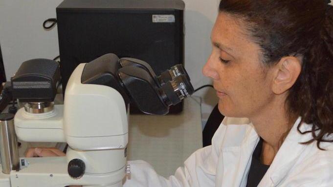 Ambiente e agroalimentare, la dottoressa Renzi nel Big