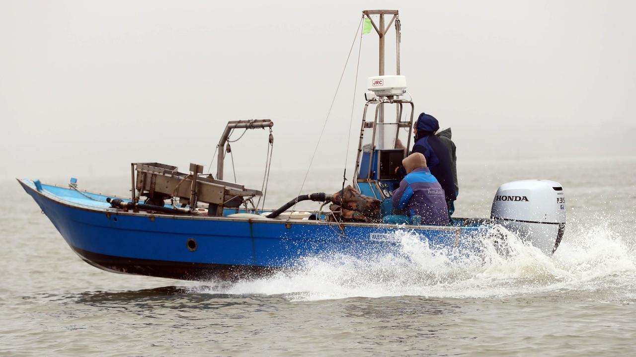 A pesca nella Sacca di Goro