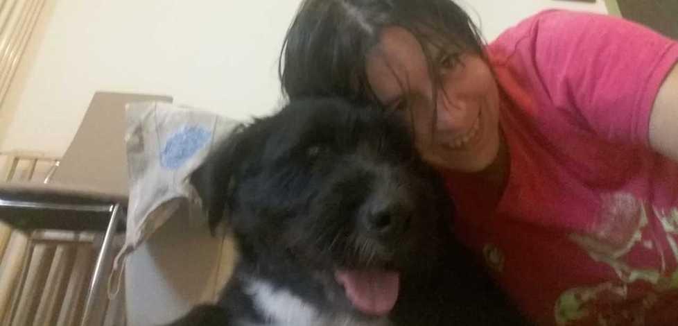 Cane “sballato” dopo aver mangiato hashish ai giardini 