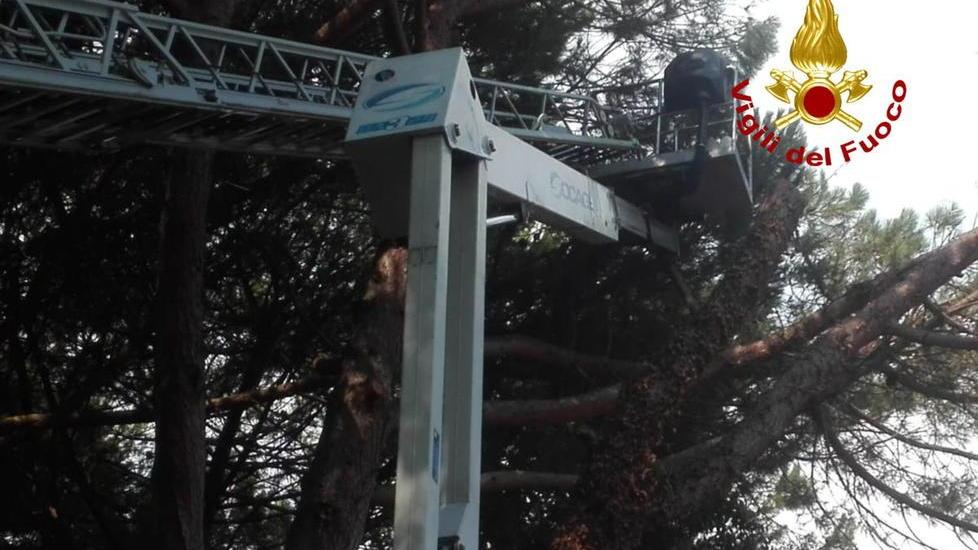 Restano in bilico a 18 metri d’altezza