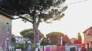 Rivolta contro il cemento, no ai progetti su Ceppaiano