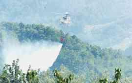 Colline della Valdinievole sotto l’attacco dei piromani 